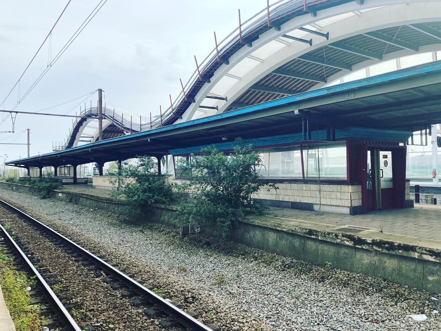 &ldquo;Life finds a way&rdquo;.
.
.
Its been about 3 years since this track of the @stadmechelen trainstation was left unused, behind it you see the new arches of the tracks of the new station rising up behind it. The plants bursting up trough the tr