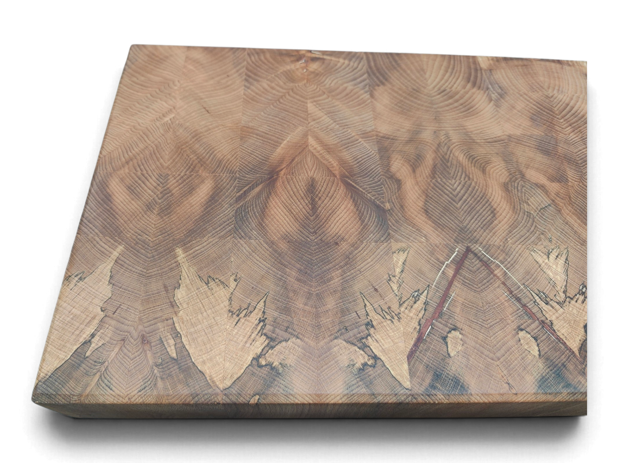 Dark spalt lines in Irish beech end grain, close detail