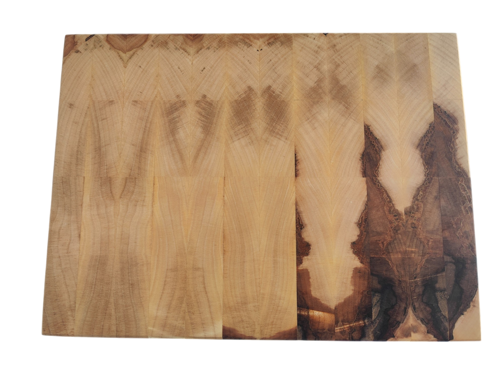 IMG20250305101733-Photoroom.png