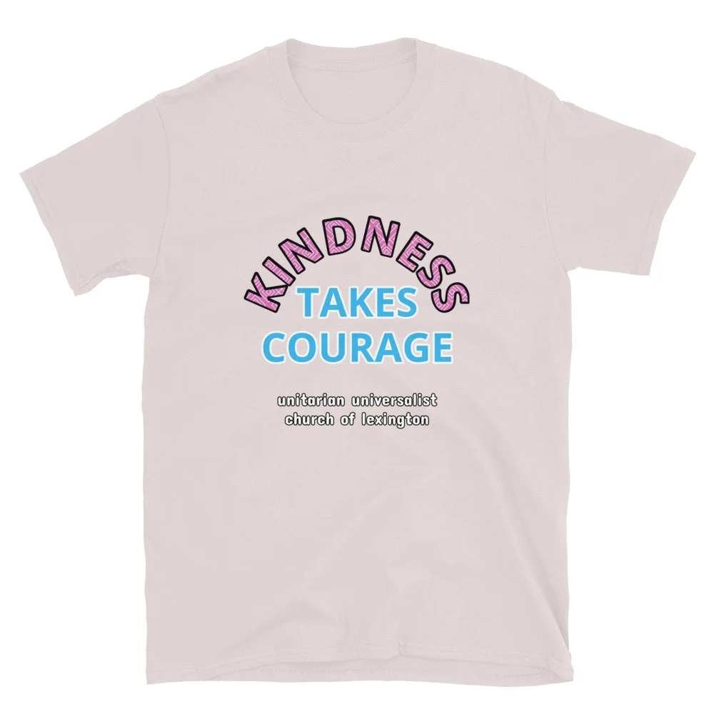 unisex-basic-softstyle-t-shirt-ice-grey-front-6872d675d3396.jpg