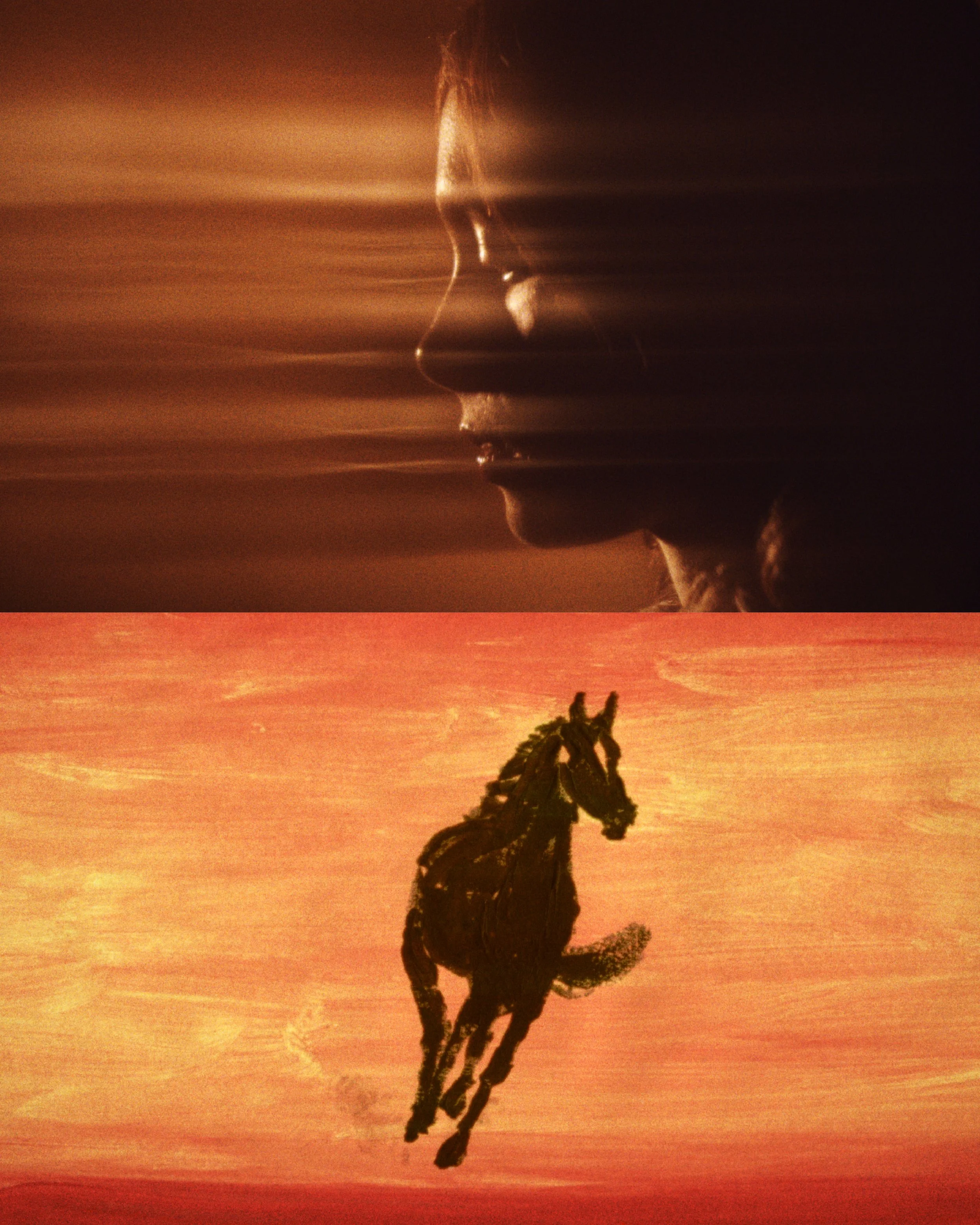251103_BTV_AnimationAction_Carousel_Layouts2.jpg