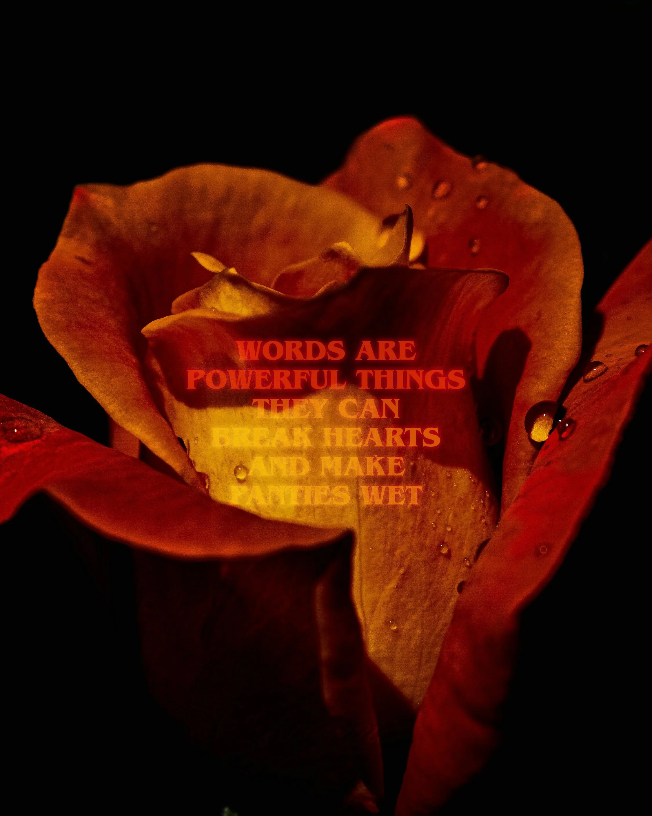 Romantix_Insta_Quote_8.jpg