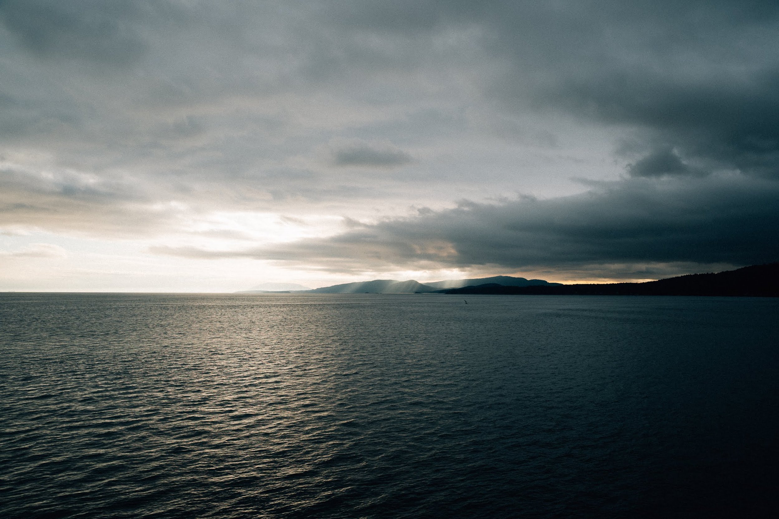 untitled-92.jpg