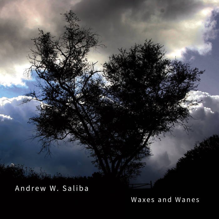 Waxes and Wanes | Andrew Saliba