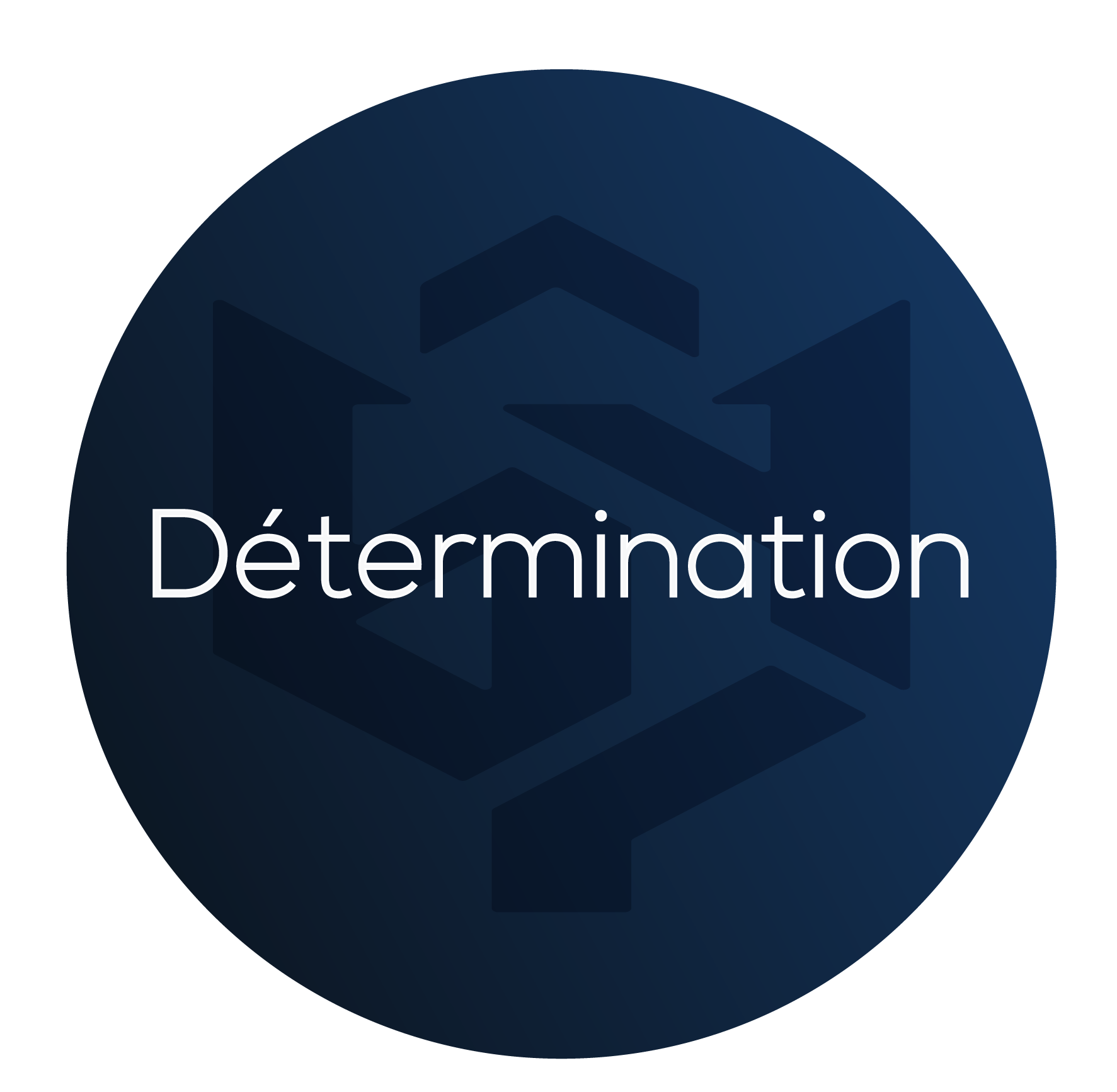 détermination.png