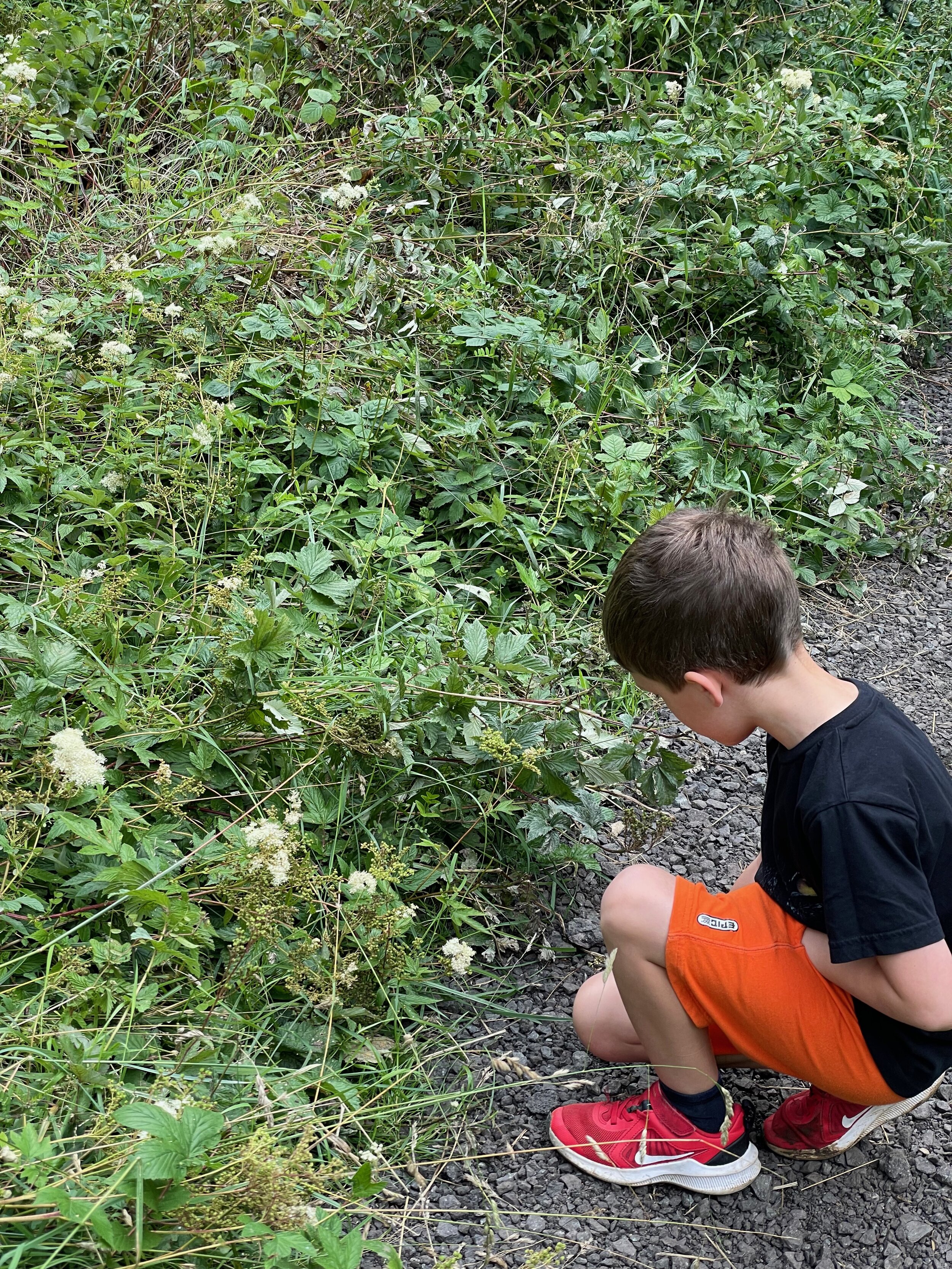 Woodford Forest School Summer 2021 - 10 of 32.jpeg