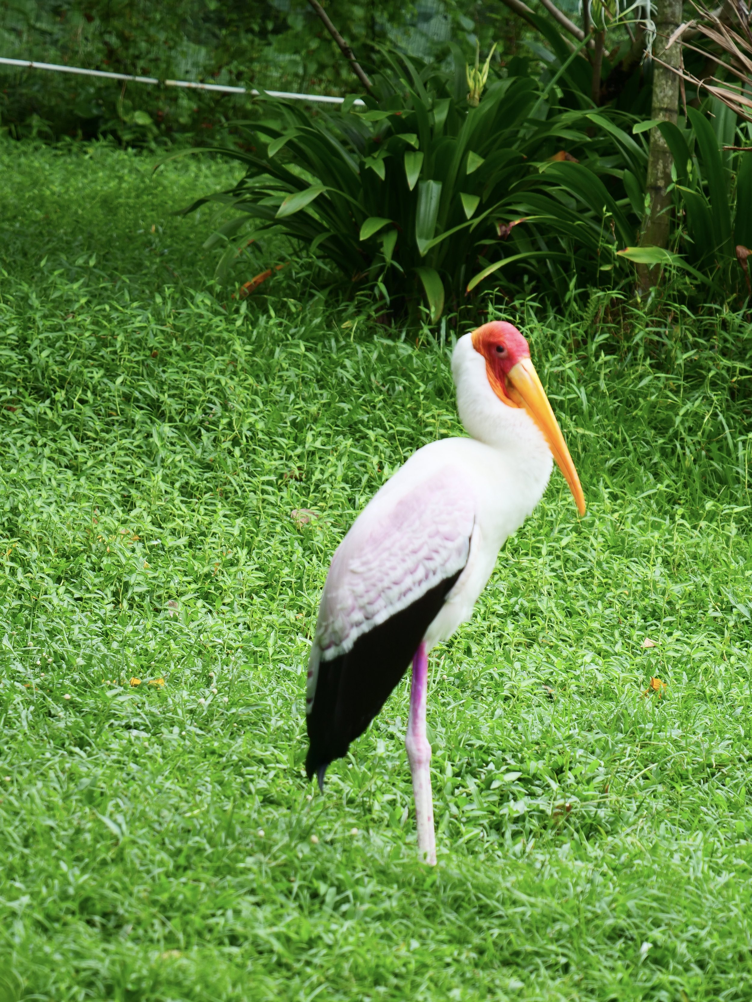 P1000344.JPG