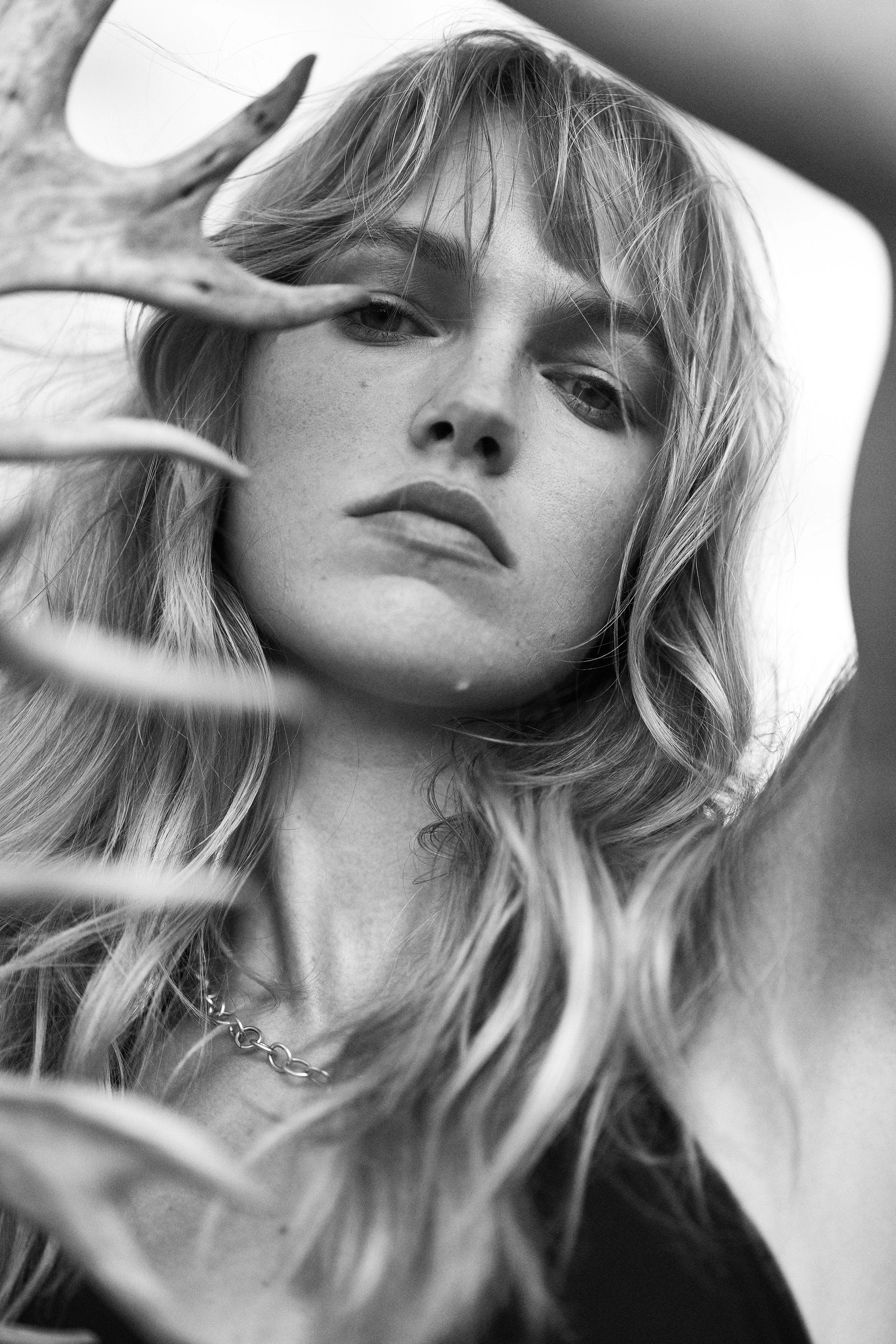 DSC01547 copysize.jpg