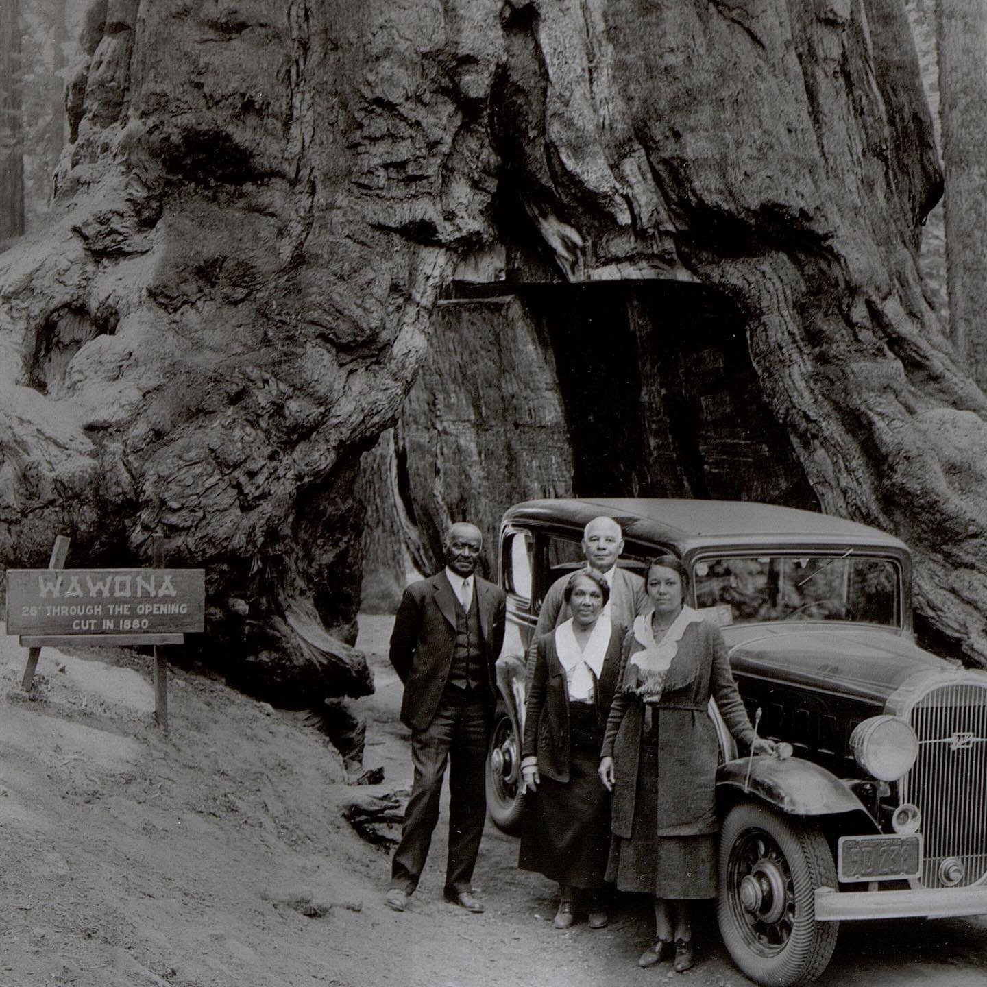 c 1920-1930, outdoor group portrait of Titus Alexander (center) with his wife, Mary Alexander (right) at the Wawona Tree, Yosemite National Park 
 
{*y&rsquo;aaaall! It&rsquo;s a good day to have a good day and this just made mine 🌲🪩🏔️🌞 I haven&r