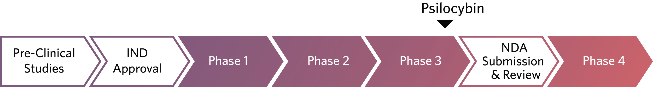 Clinical Development Progress Graphic for Psilocybin