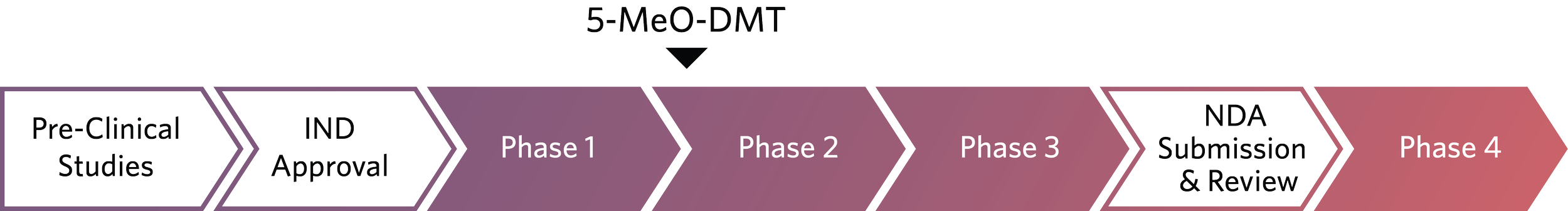 Clinical Development Progress Graphic for 5MeODMT