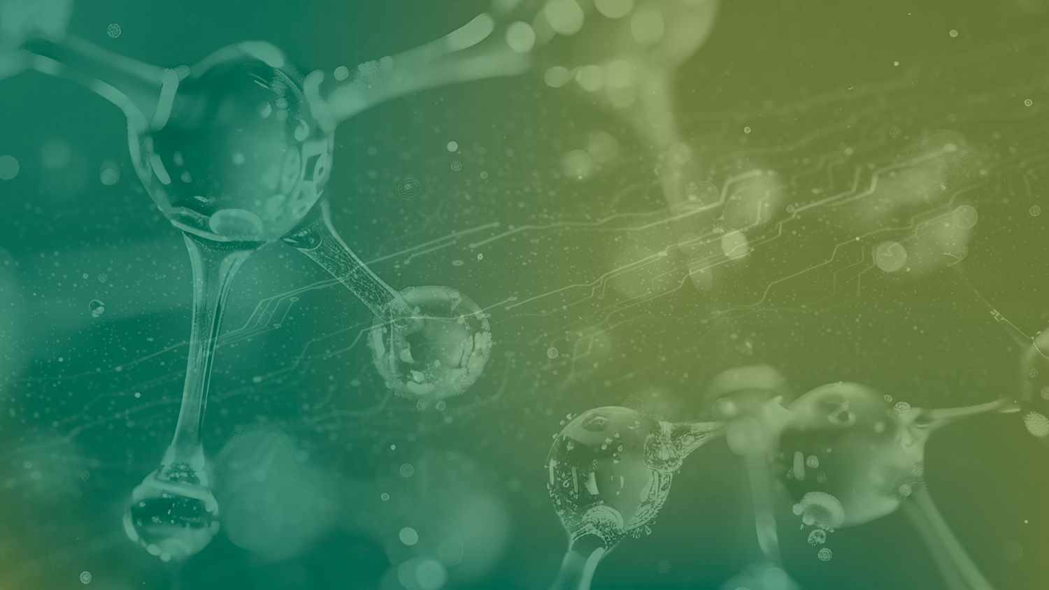 Advancing Science 2025 — Usona Impact