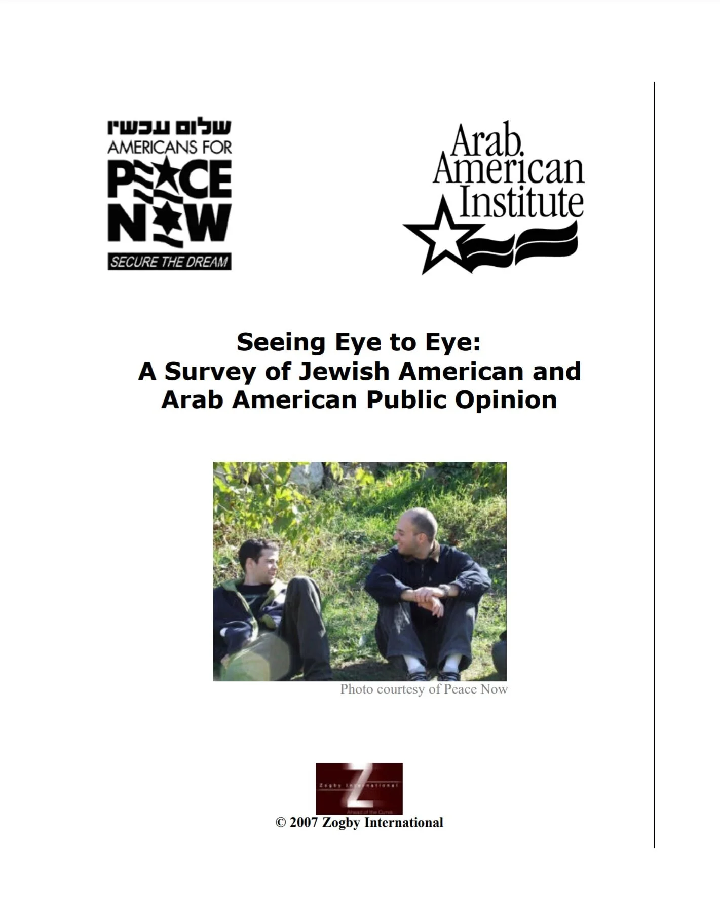 Seeing Eye to Eye: A Survey of Jewish American and Arab American Public Opinion 