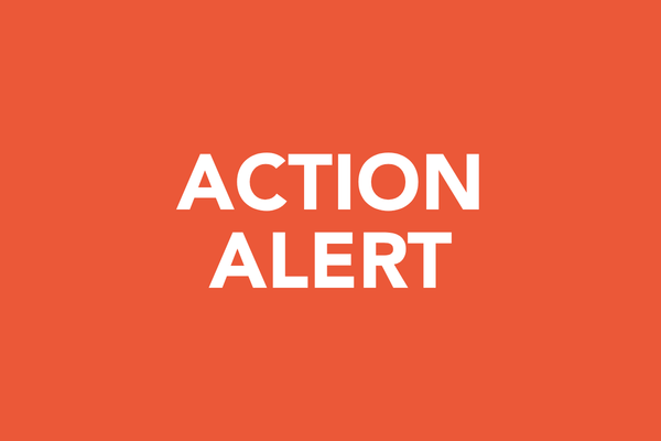 Demand Congress Take Action to End the Devastation in Lebanon 