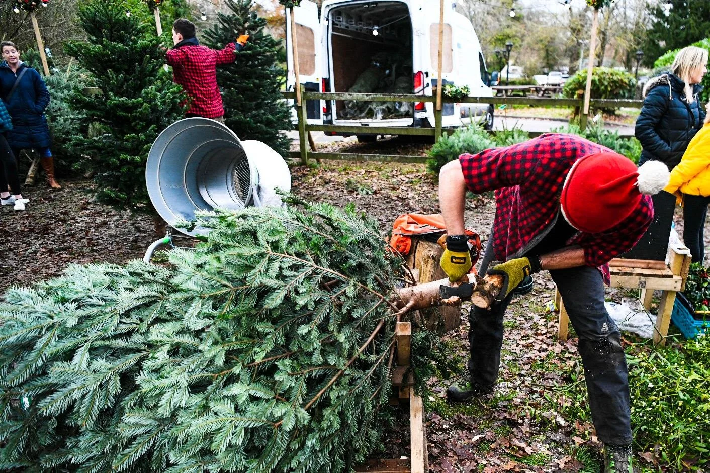 WhatsApp Image 2020-10-14 at 14.36.22.jpeg