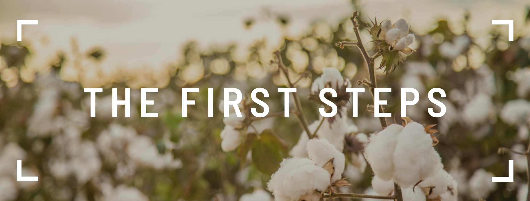 the first steps