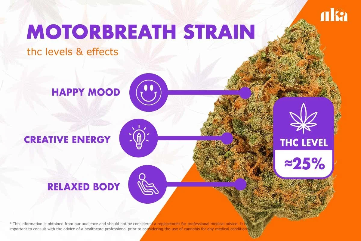 motorbreath strain effects