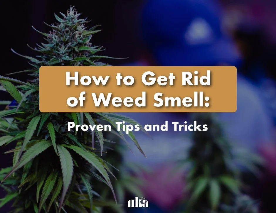 How Do I Get Rid Of Weed Smell? Simple Steps That Work