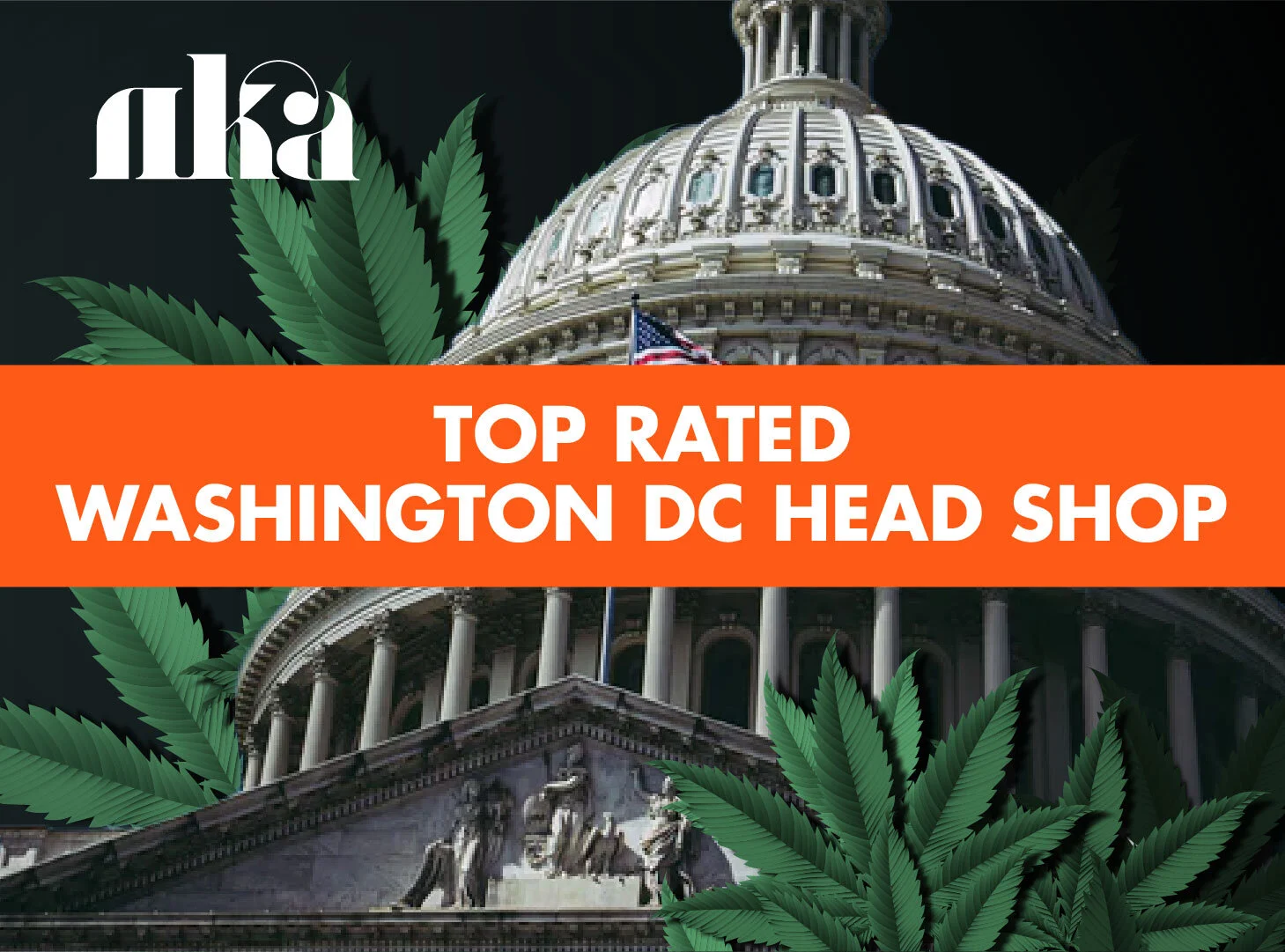 Washington DC Head Shops vs. Dispensaries: Where to Get the Best Cannabis