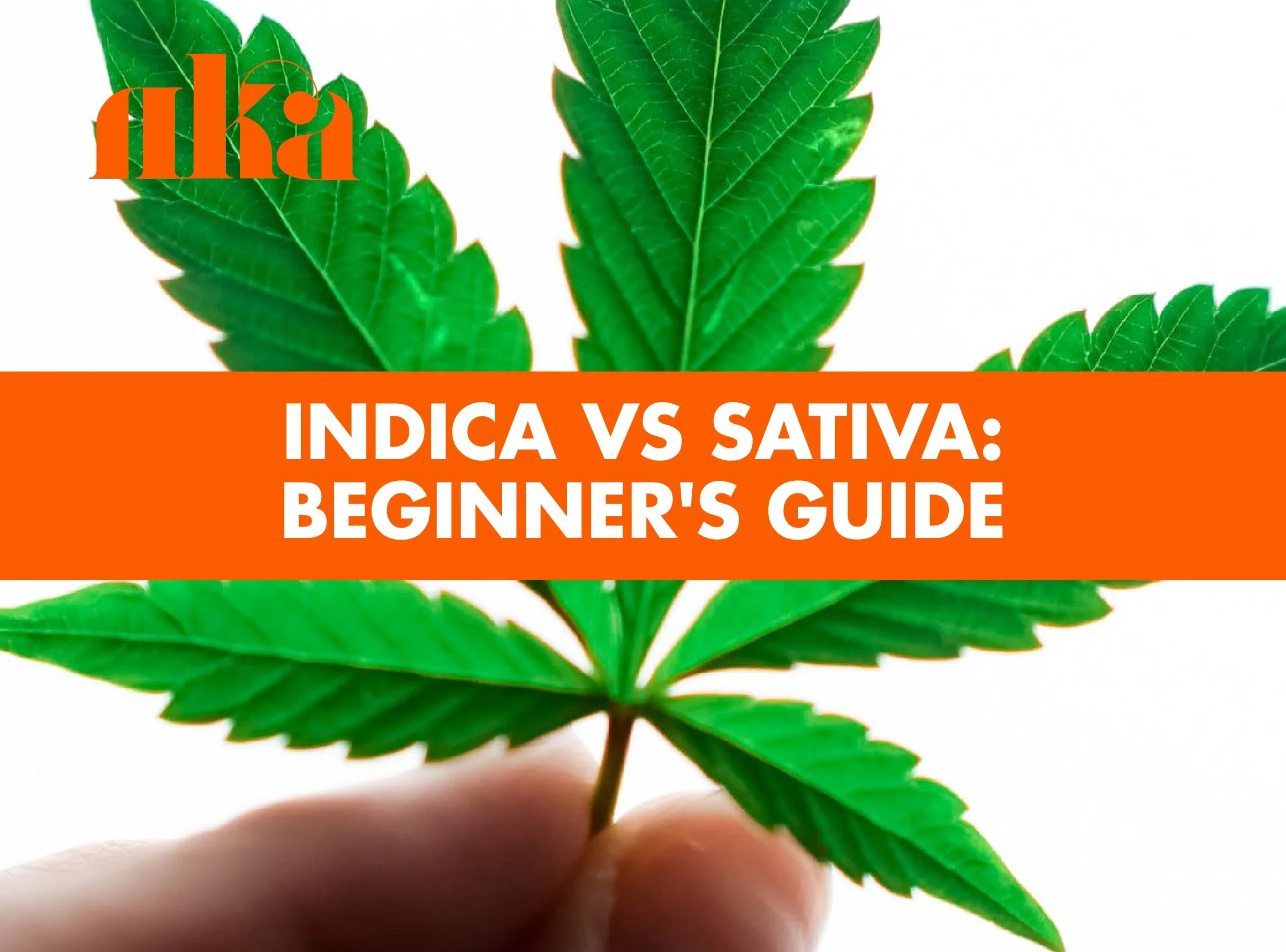 Indica vs Sativa: Beginner's Guide to Cannabis Types