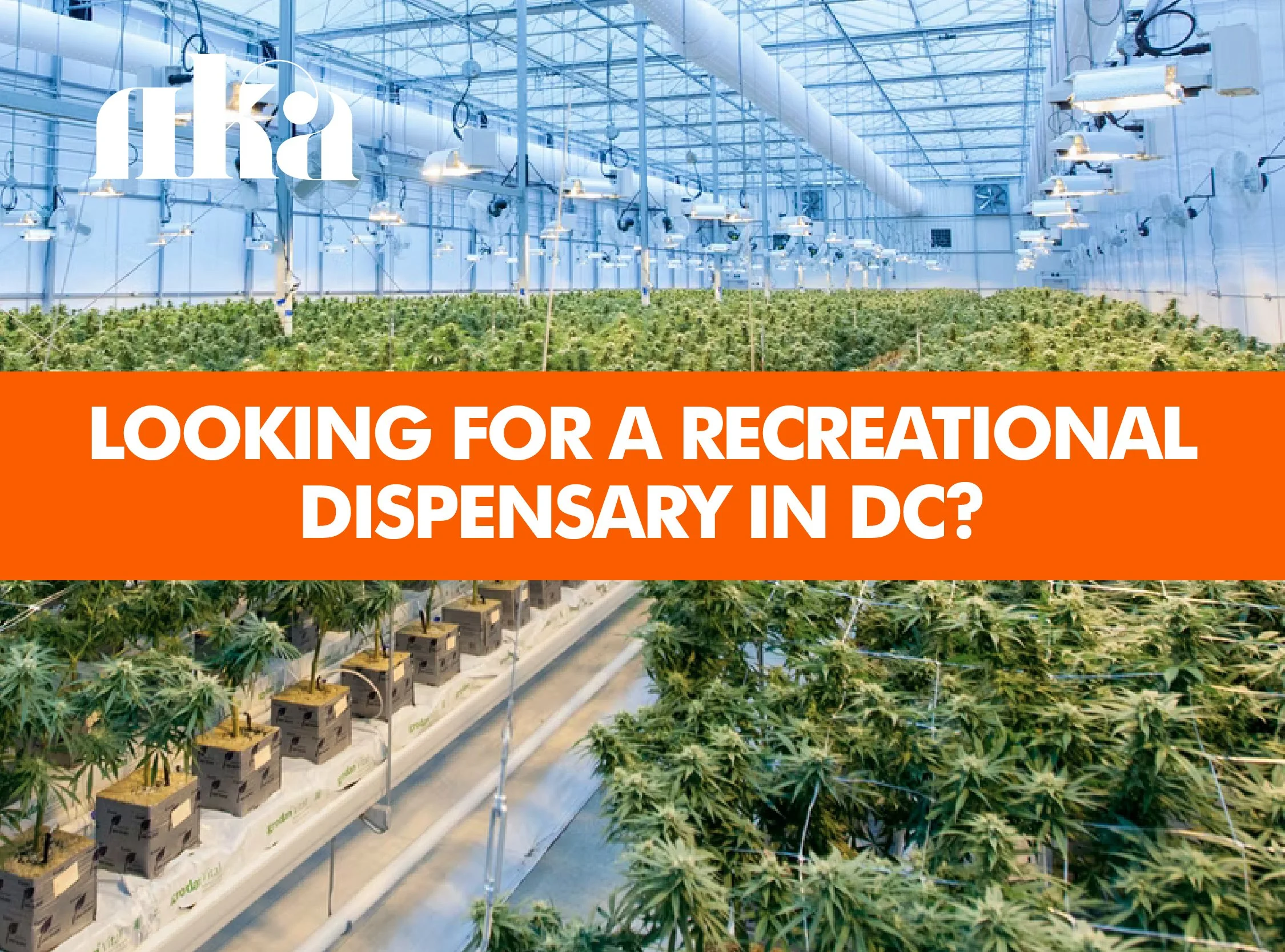 Where to Find a Recreational Dispensary in DC (And Why You Can’t)
