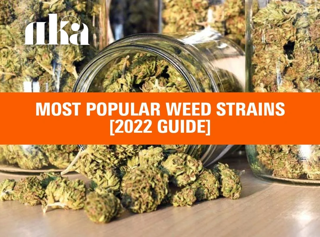 Most Popular Weed Strains in 2024 Top Ranked Strain List