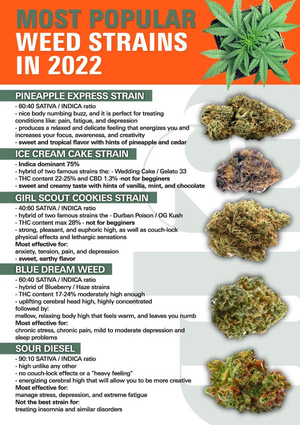 Most Popular Weed Strains [2022 Guide]