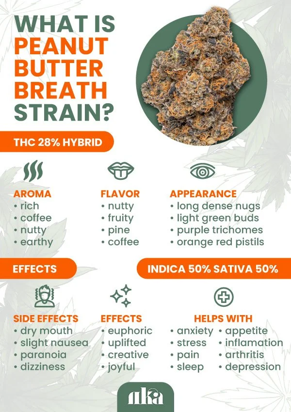 Peanut Butter Breath Strain Information: Marijuana 101