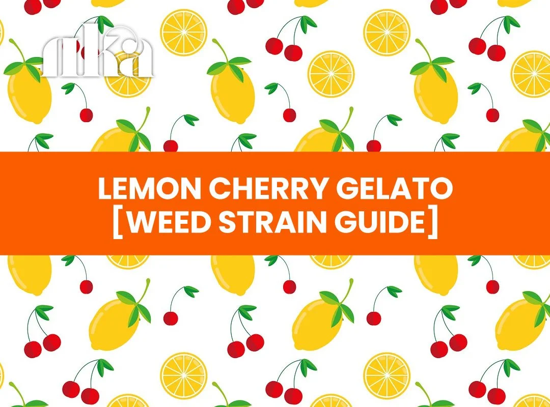 Lemon Cherry Gelato Strain [Weed Strain Guide]