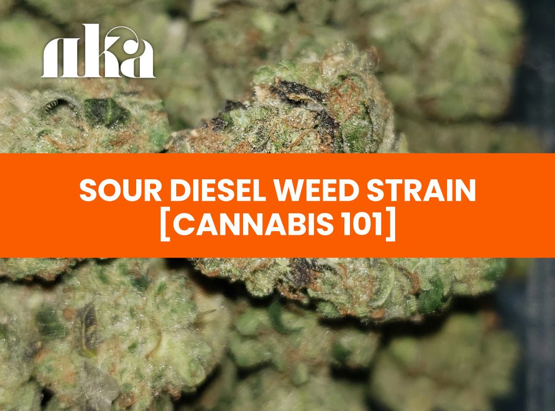 Sour Diesel Strain 'Sour D' Information Guide