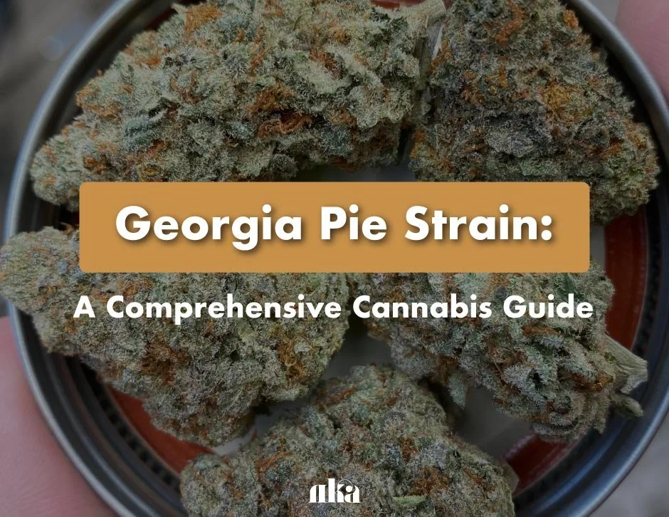 Georgia Pie Strain: A Comprehensive Cannabis Guide