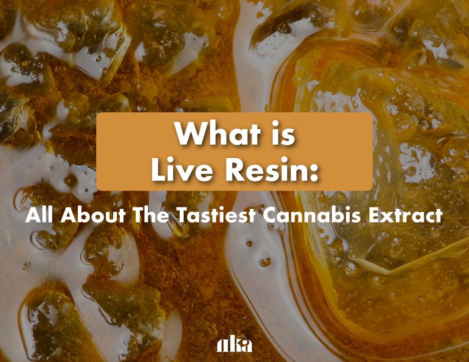 What is Live Resin: All About The Tastiest Cannabis Extract