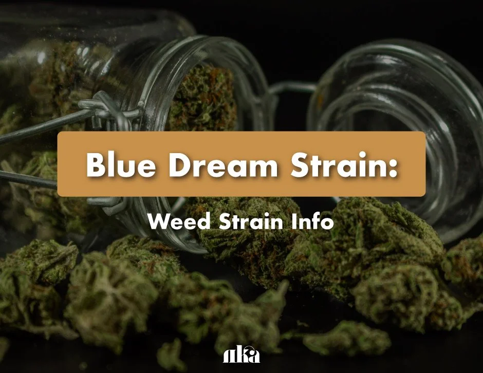 Blue Dream Strain Review: Weed Strain Information Guide