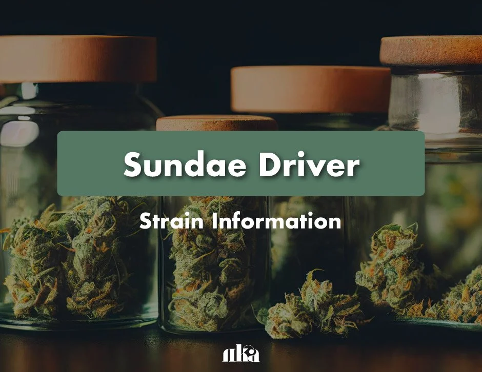 Sundae Driver Strain Review: Marijuana Information