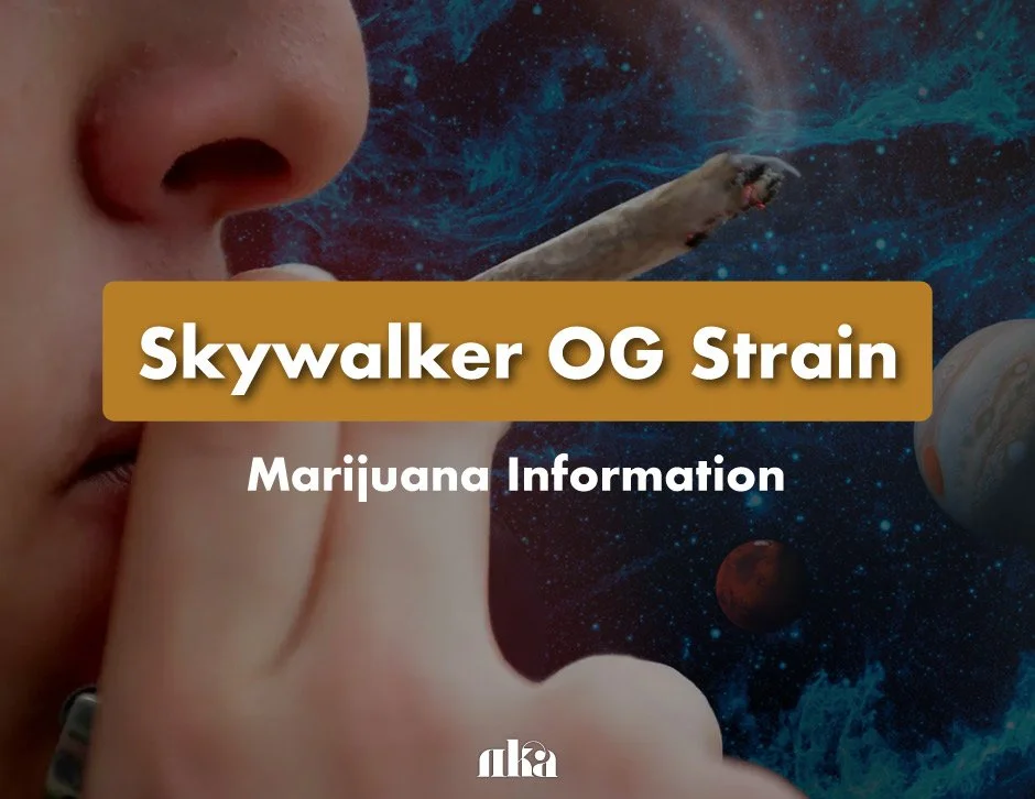 Skywalker OG Strain: Marijuana Information