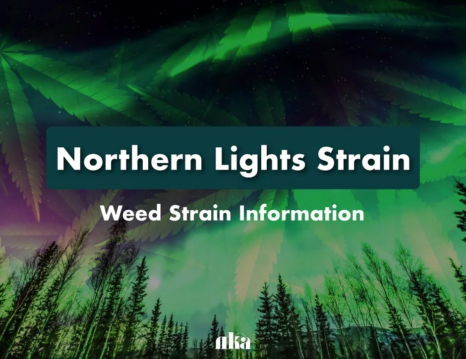 Northern Lights Strain: Weed Strain Information