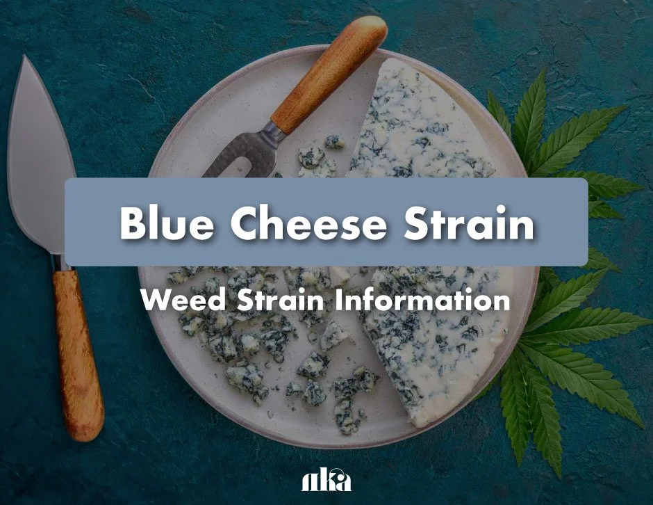 Blue Cheese Strain: Weed Strain Information