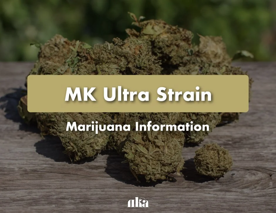 MK Ultra Strain: Marijuana Information