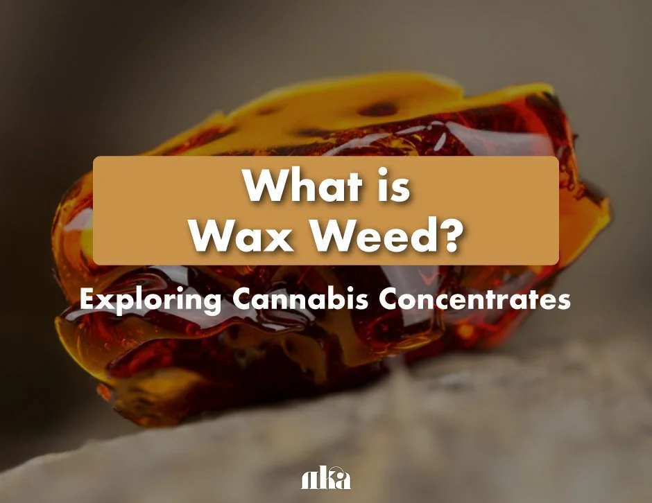 What is Wax Weed and How to Use It?