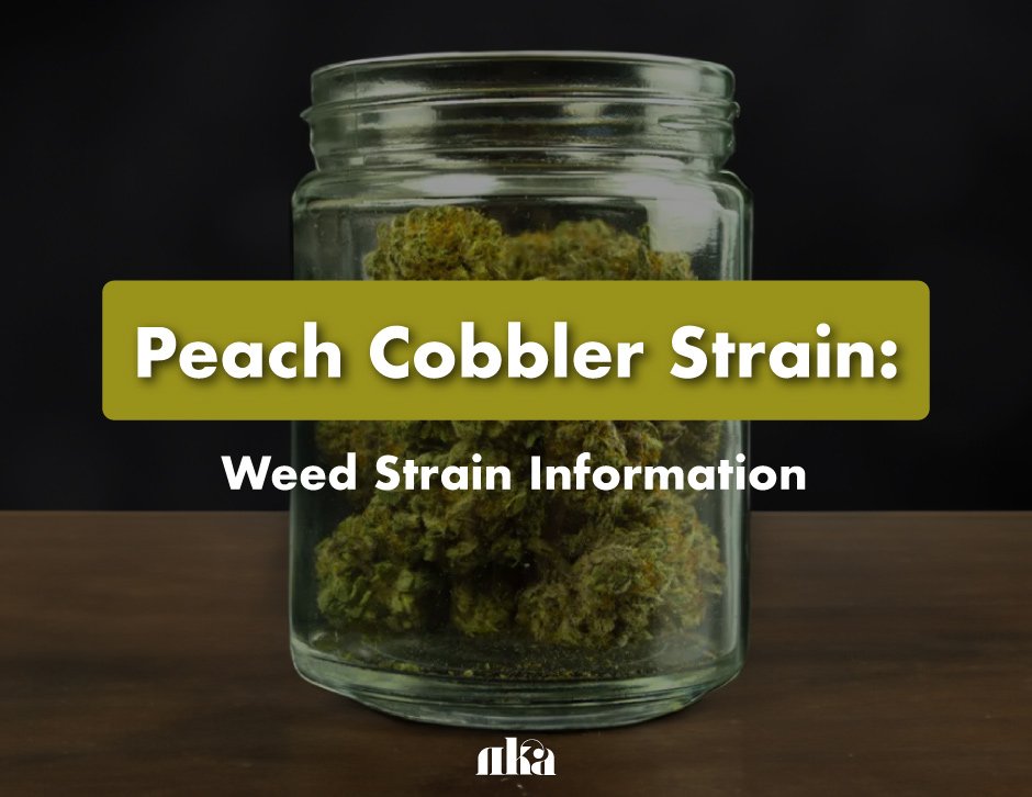 Peach Cobbler Strain: Weed Strain Information
