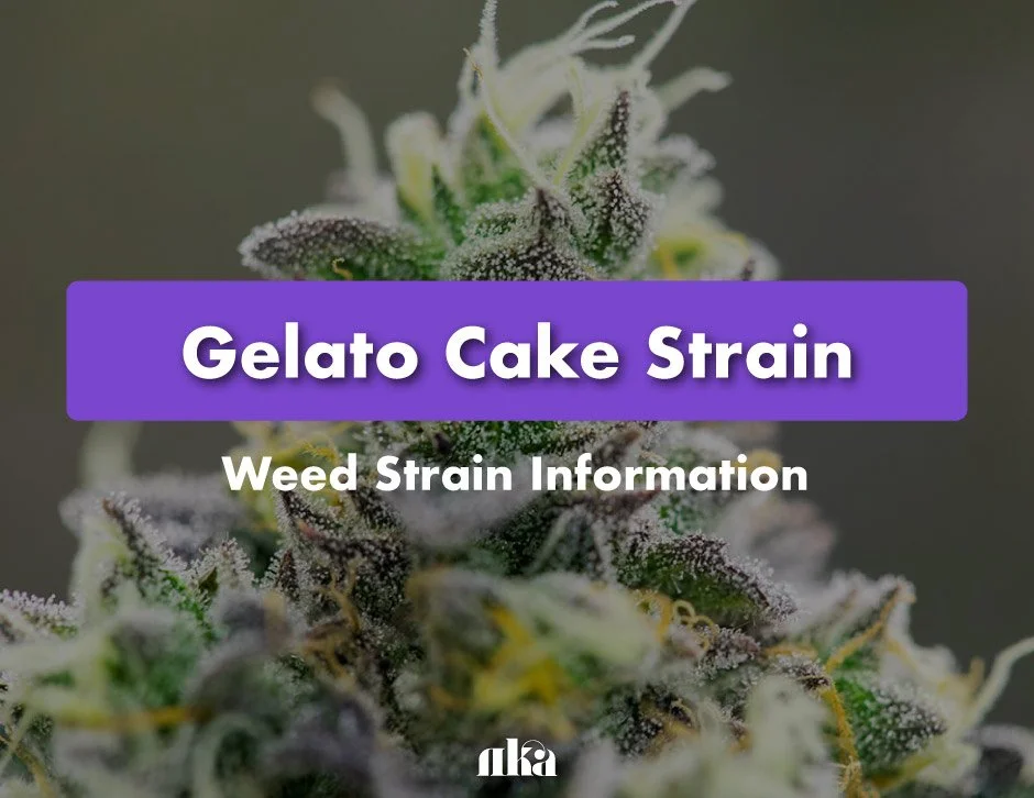 Gelato Cake Strain: Weed Strain Information