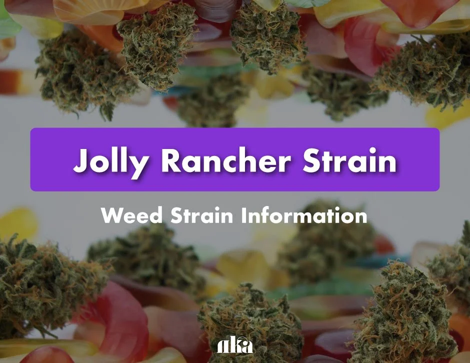 Jolly Rancher Strain: Weed Strain Information