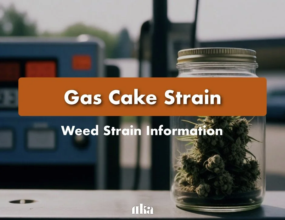 Gas Cake Strain: Weed Strain Information