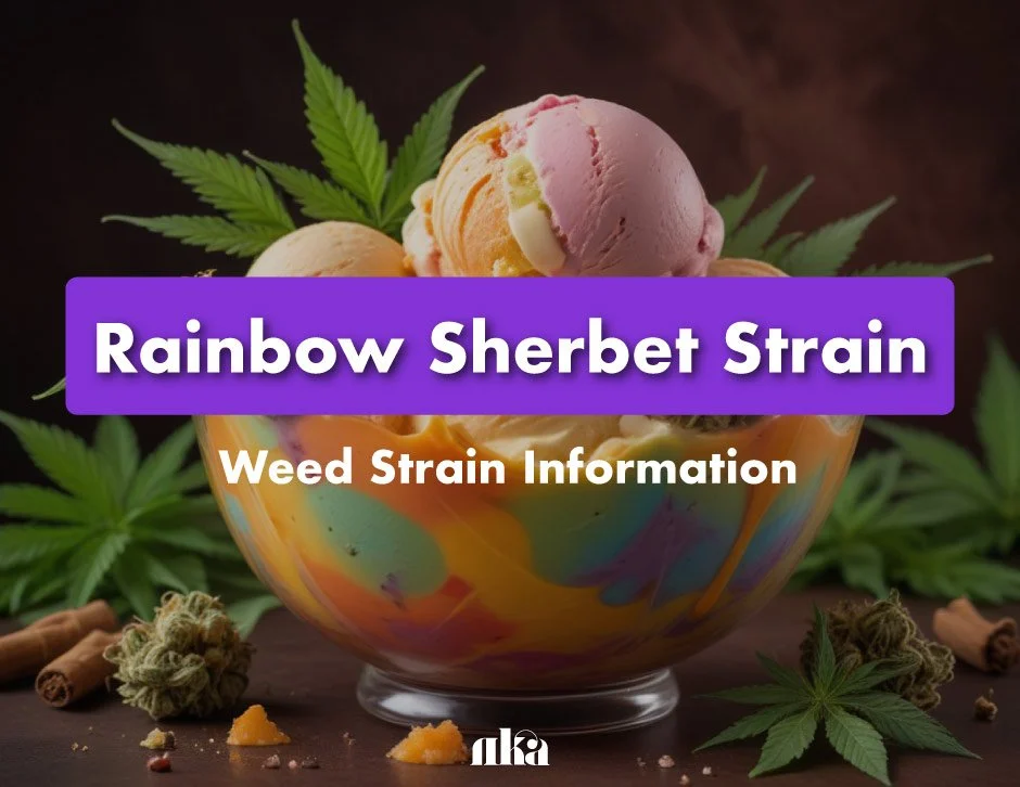 Rainbow Sherbet Strain Review: Weed Strain Information