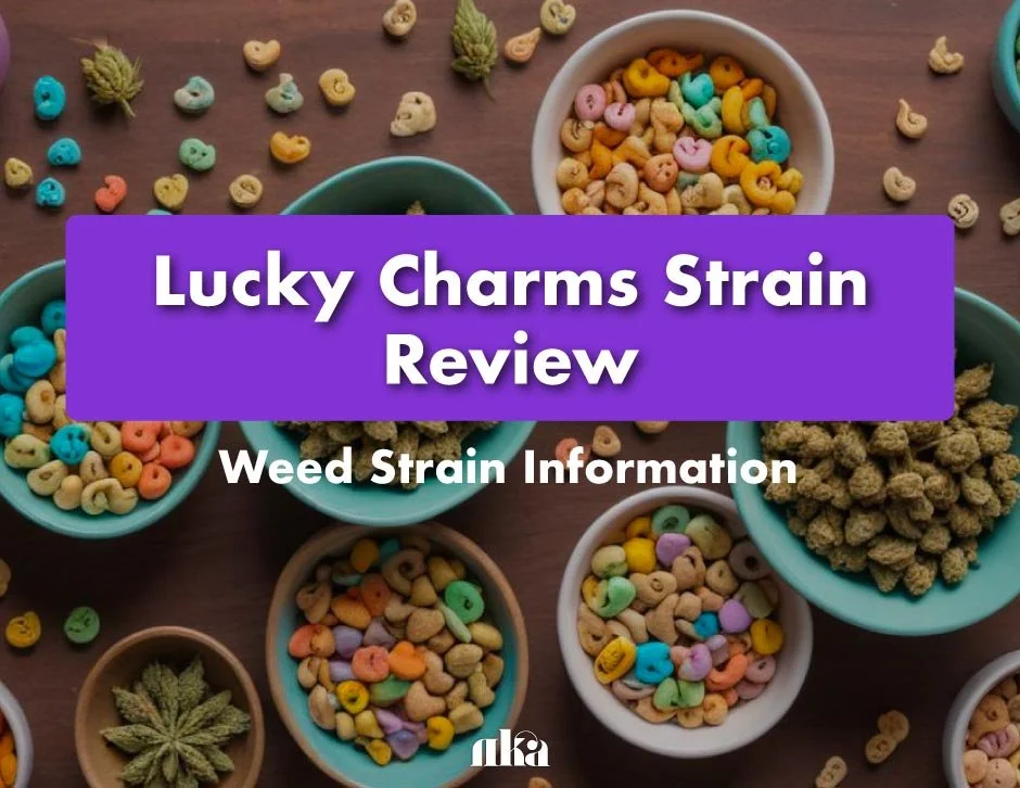 Lucky Charms Strain Review: Weed Strain Information