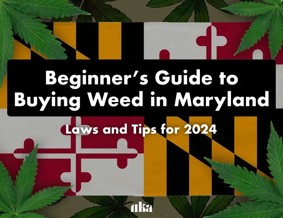 Beginner’s Guide to Buying Weed in Maryland: Laws and Tips for 202
