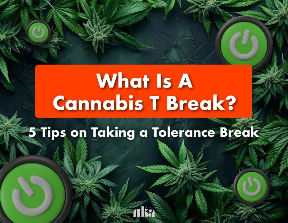 What Is A Cannabis T Break? 5 Tips On Taking A Tolerance Break