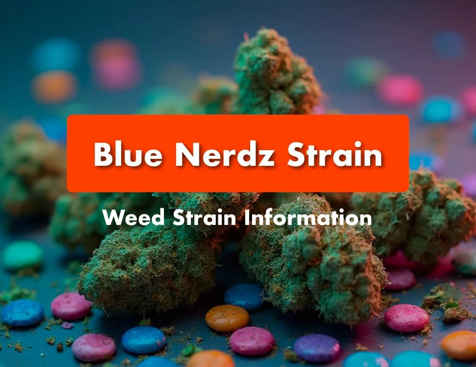 Blue Nerdz Strain: Weed Strain Information