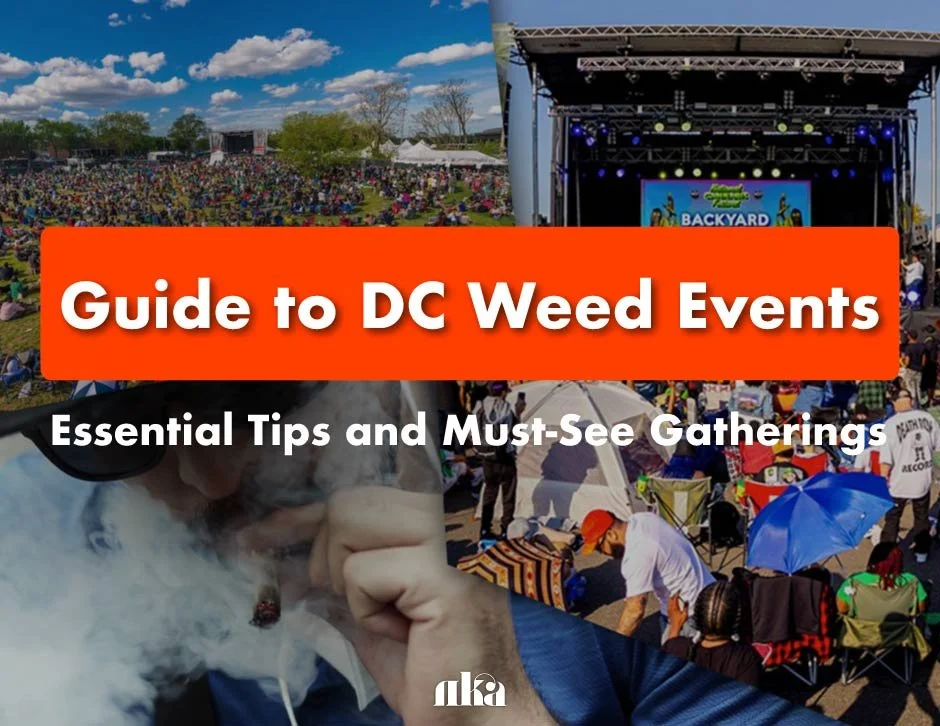 Guide To DC Weed Events 2025: Essential Tips And Must-See Gatherings