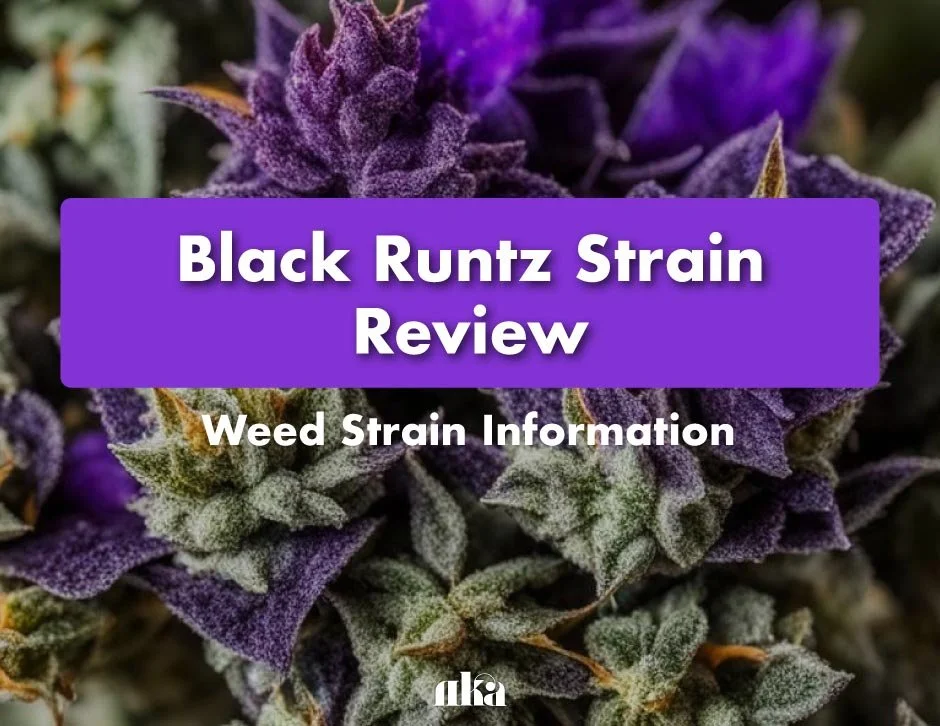 Black Runtz Strain Review: Weed Strain Information